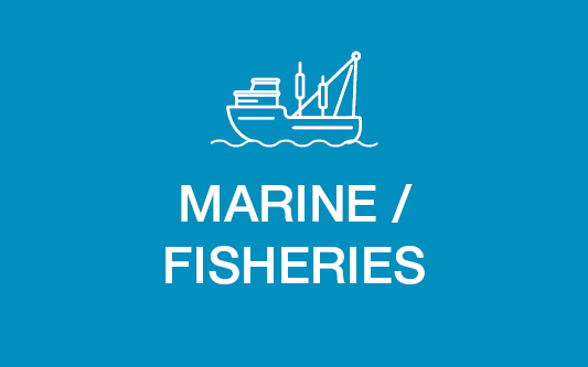 Marine & Commercial Fishing