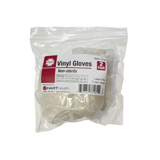 Vinyl Gloves, large, 2 pair per bag