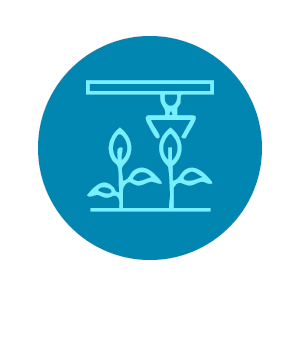Food Processing & Manufacturing